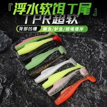 雷龍魚批發一手貨源