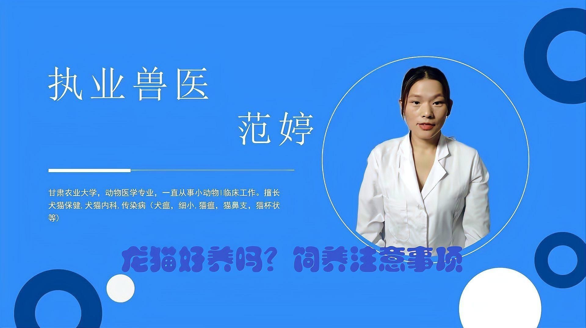 龍貓的飼養禁忌有哪些？
