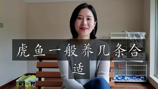 虎魚一般混養(yǎng)幾條