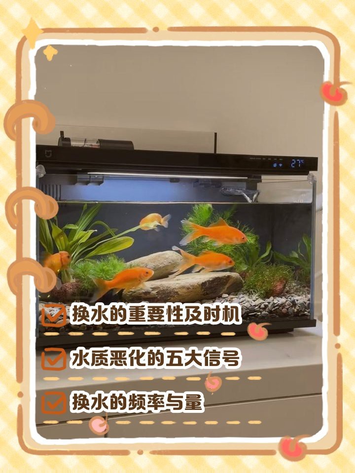 如何判斷小火龍是否需要換水？