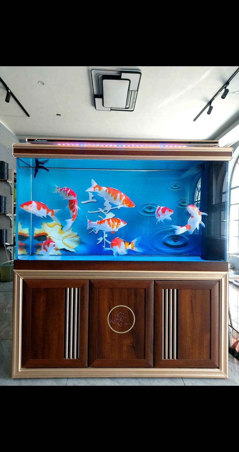 觀賞魚缸圖片大全