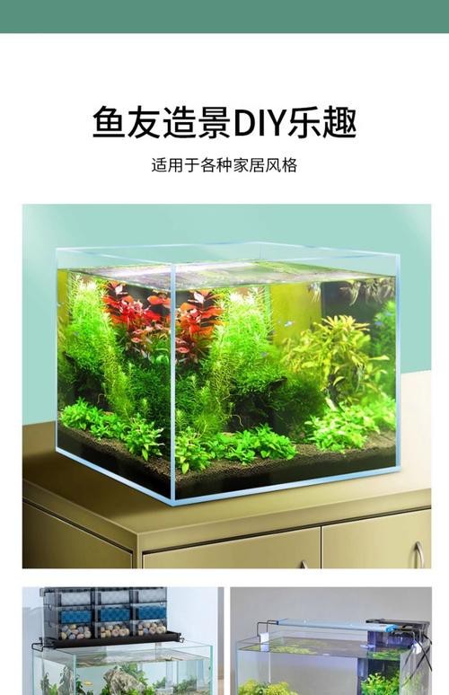 觀賞魚缸圖片大全