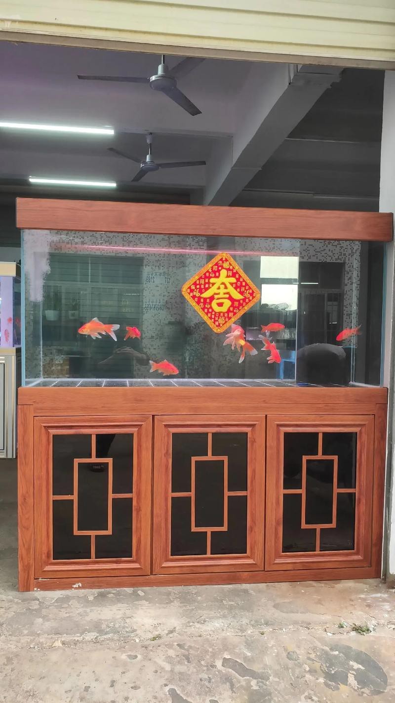 觀賞魚缸圖片大全