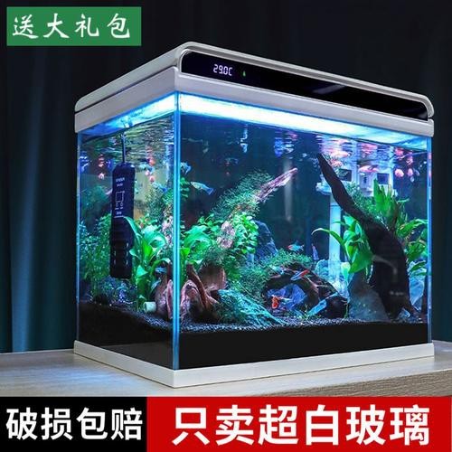 觀賞魚缸圖片大全