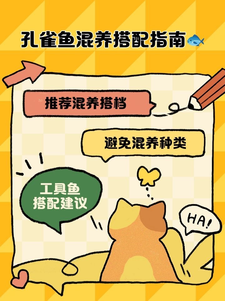 龍魚可以和孔雀魚養(yǎng)嗎