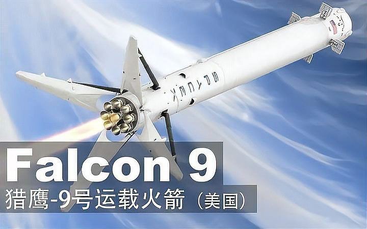 火箭吊混養優缺點 火箭吊混養優缺點 龍魚論壇 第3張