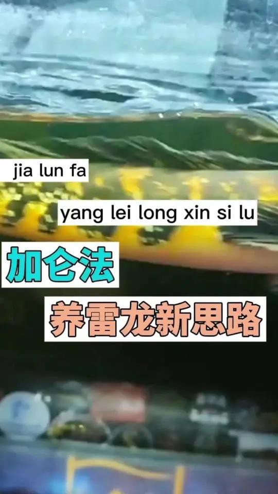 如何檢測帝王龍魚的水質(zhì)？
