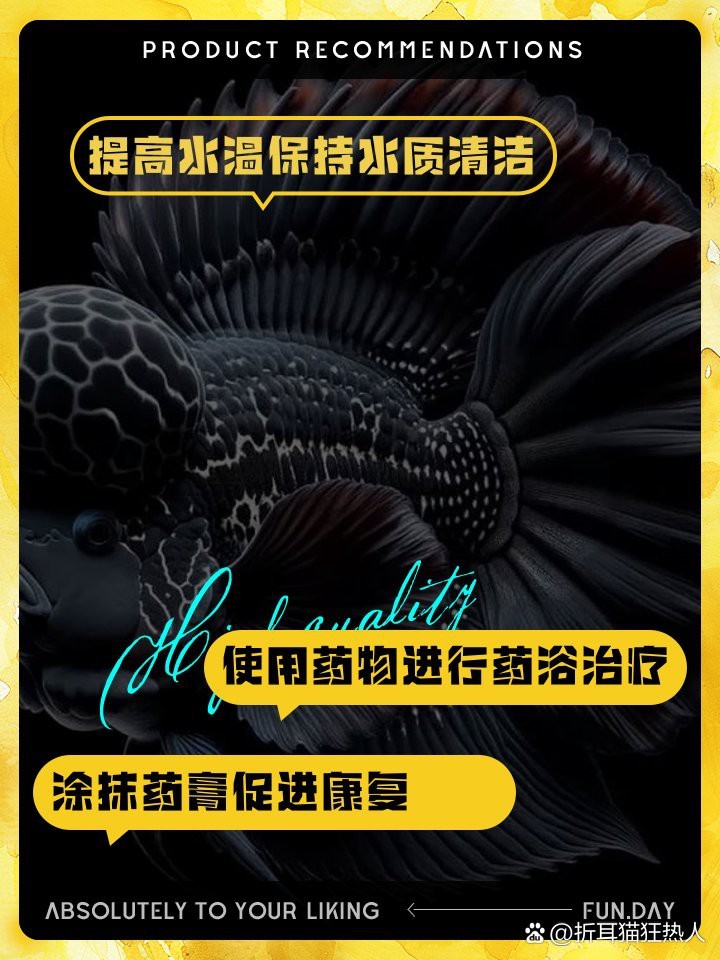 羅漢魚蒙眼最好治療方法