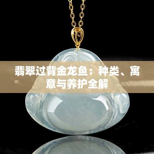 藍底古典過背金龍魚寓意