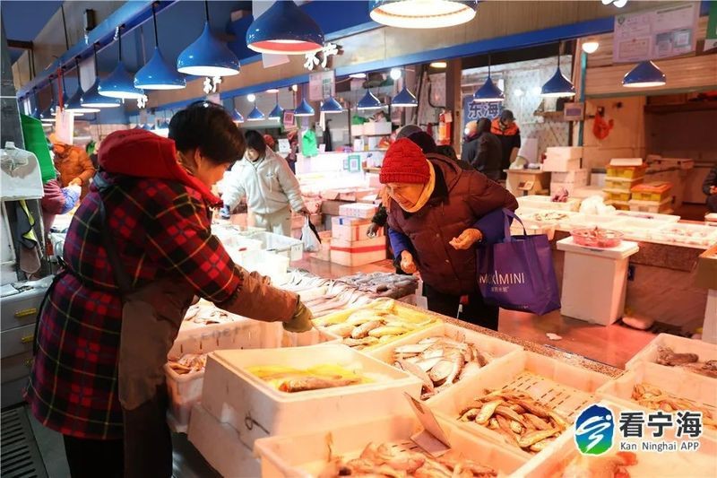 寧海龍海市場海鮮價格表今日最新價