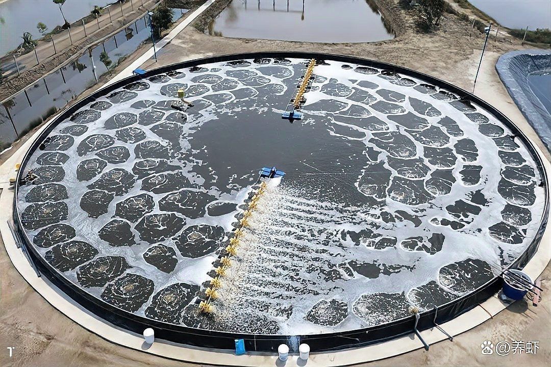 寧海龍海市場海鮮價格表今日最新價