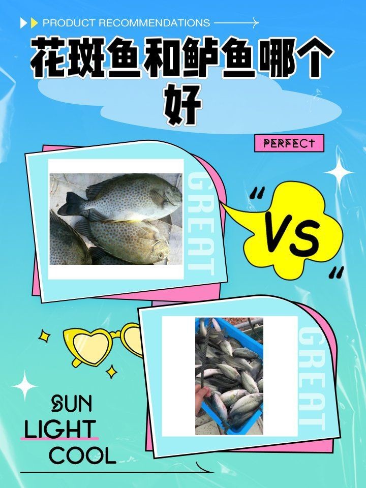 花斑魚和鱸魚哪個好