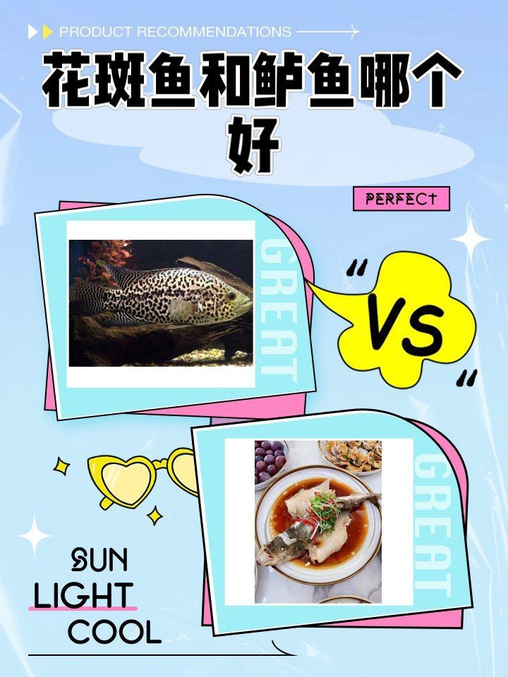 花斑魚和鱸魚哪個好