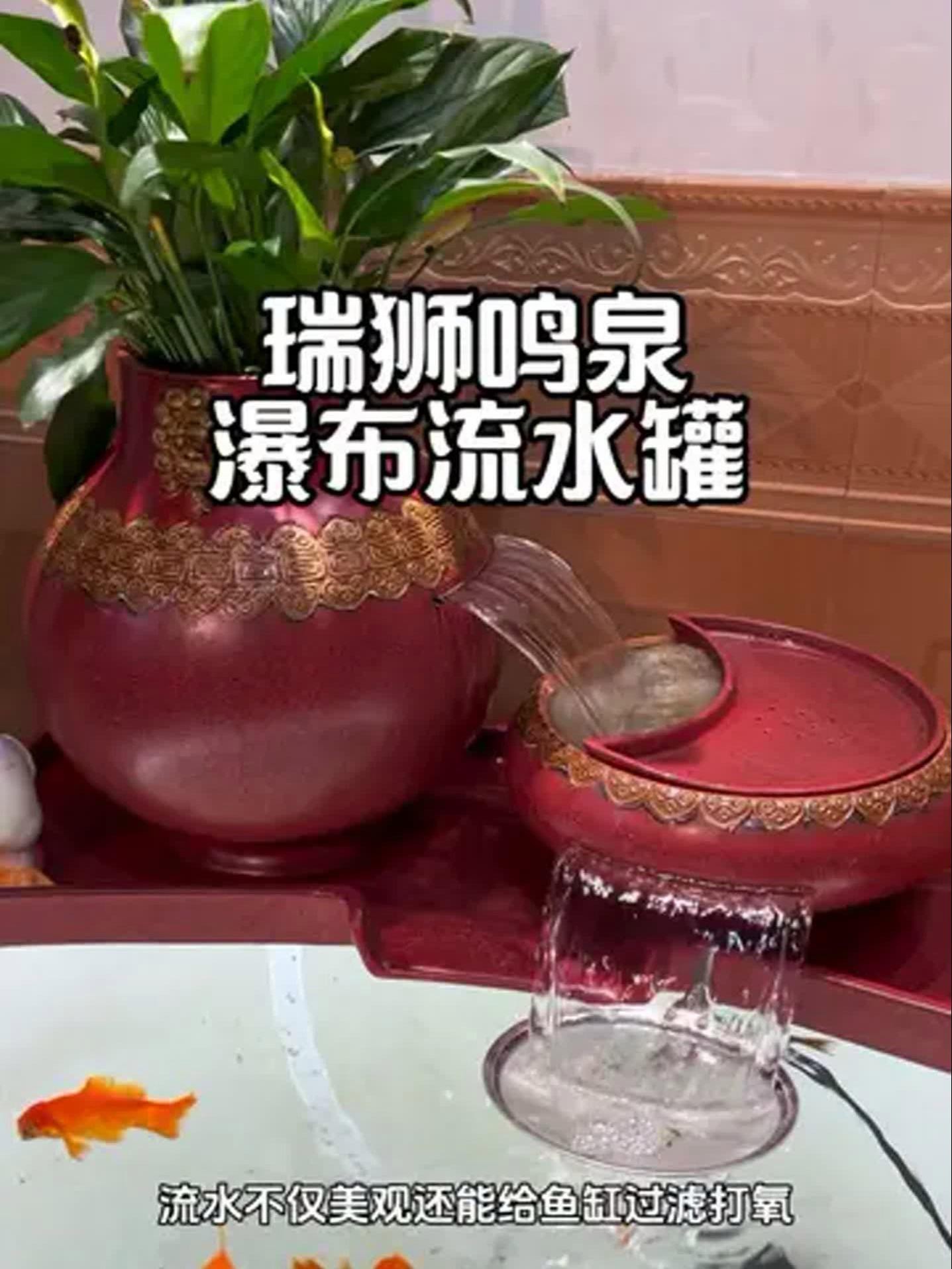 魚缸上面放什么擺件好
