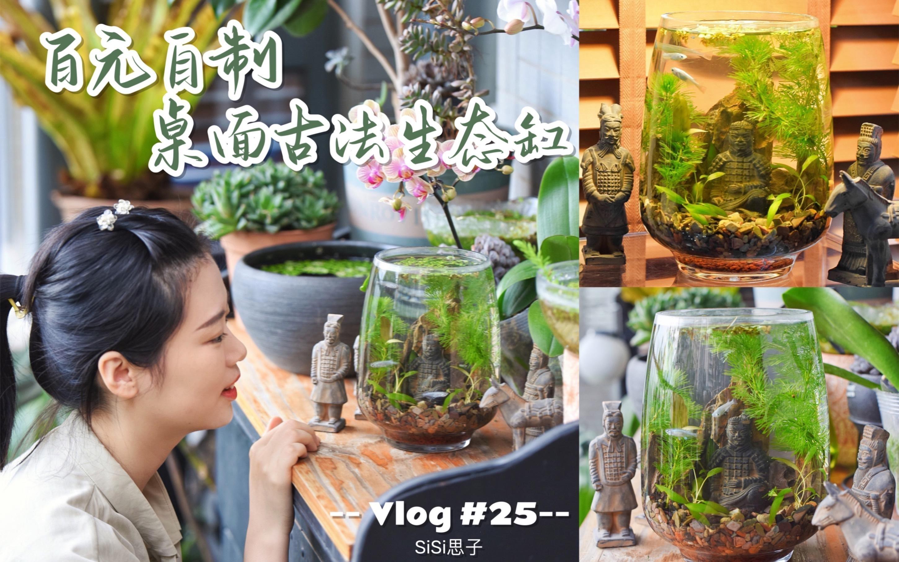 魚缸上面放什么擺件好
