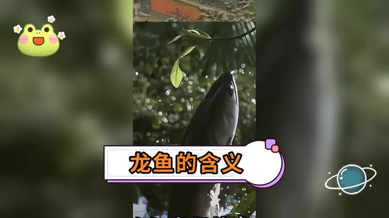 龍魚象征