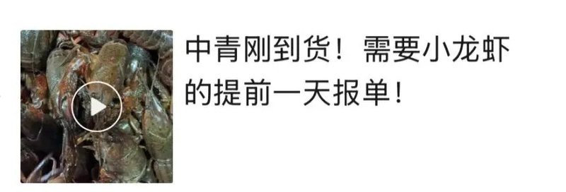 青龍一只一斤多少錢
