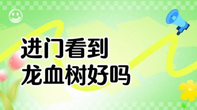 龍血樹適合放在哪個(gè)位置？
