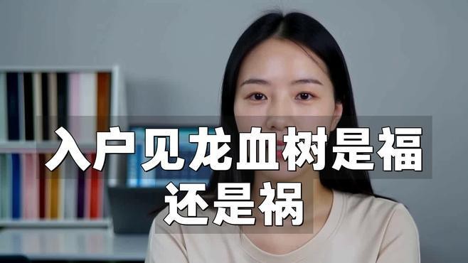 龍血樹適合放在哪個(gè)位置？