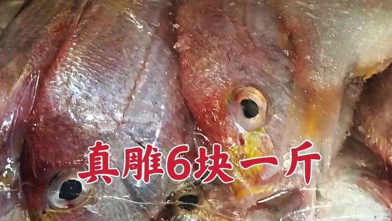 鯛魚多少錢一斤市場價
