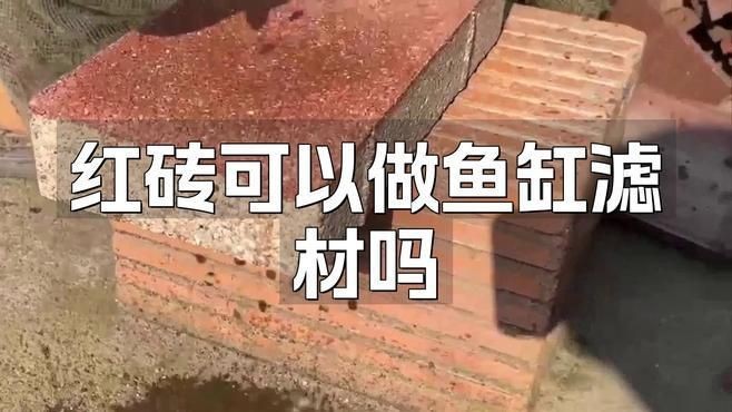 紅磚能當魚缸濾材嗎