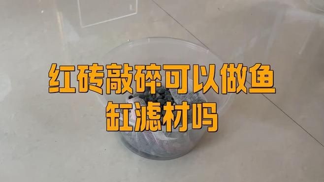 紅磚能當魚缸濾材嗎