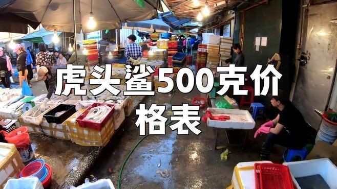 虎頭鯊淡水魚多少錢一斤 龍魚論壇 第6張 虎頭鯊淡水魚多少錢一斤 虎頭鯊淡水魚多少錢一斤 龍魚論壇 第6張