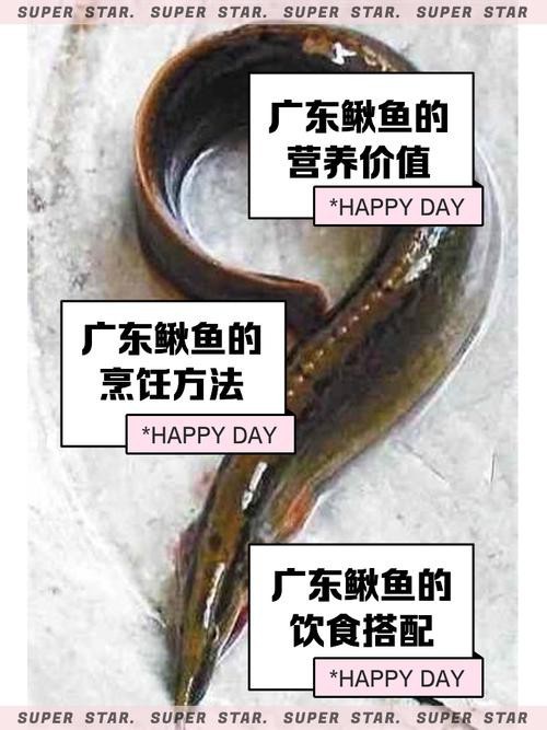 能提供更多龍鰍魚圖片嗎？
