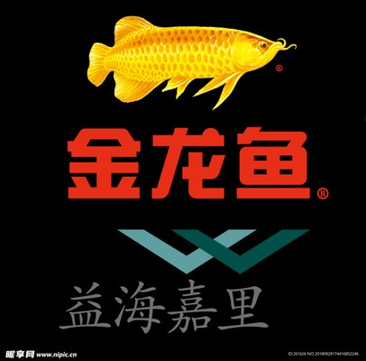 武漢市江岸區(qū)寶波水族館（武漢市江岸區(qū)寶波水族館地址）