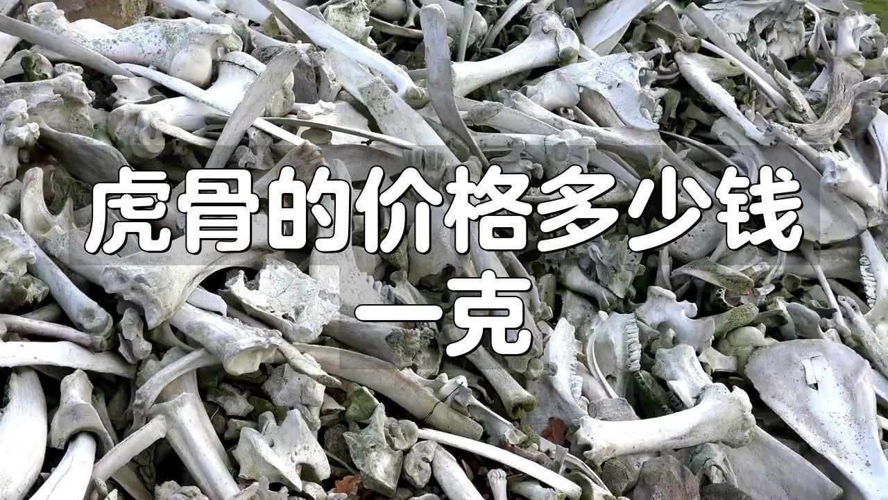 虎頭骨多少錢一克