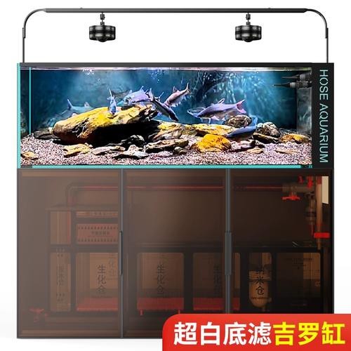 吉羅缸和龍魚的區(qū)別圖片