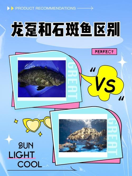 斑馬鴨嘴魚和龍魚混養嗎圖片對比 龍魚百科 第37張 斑馬鴨嘴魚和龍魚混養嗎圖片對比 斑馬鴨嘴魚和龍魚混養嗎圖片對比 龍魚百科 第37張
