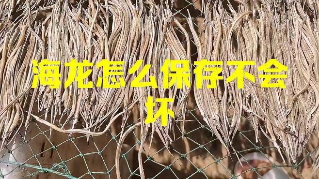 海龍干如何挑選和保存？