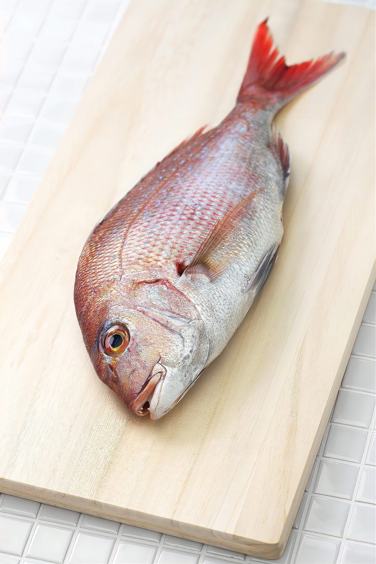 鯛魚為何盡量少吃