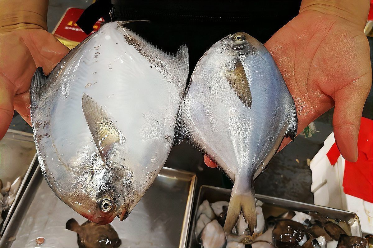 鯛魚為何盡量少吃