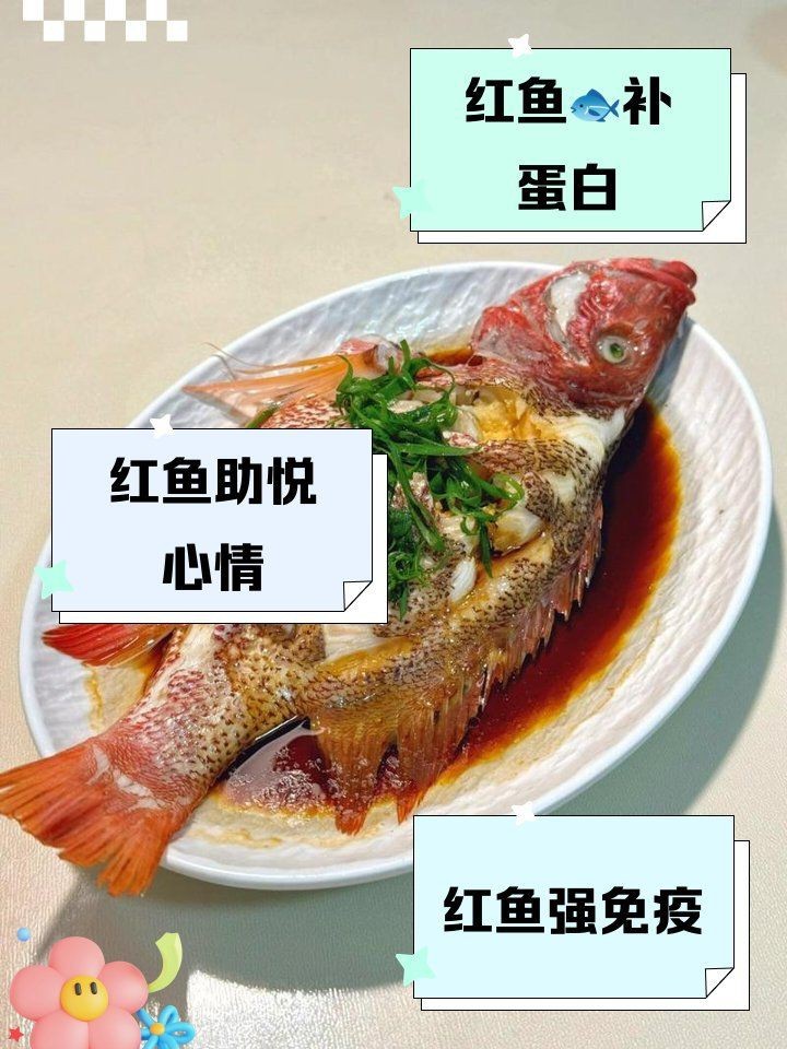 紅魚適合哪些人吃