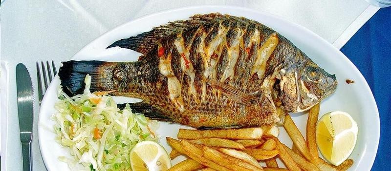福壽魚營養價值高嗎