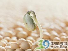 福壽魚營養價值高嗎