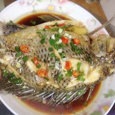 福壽魚營養價值高嗎