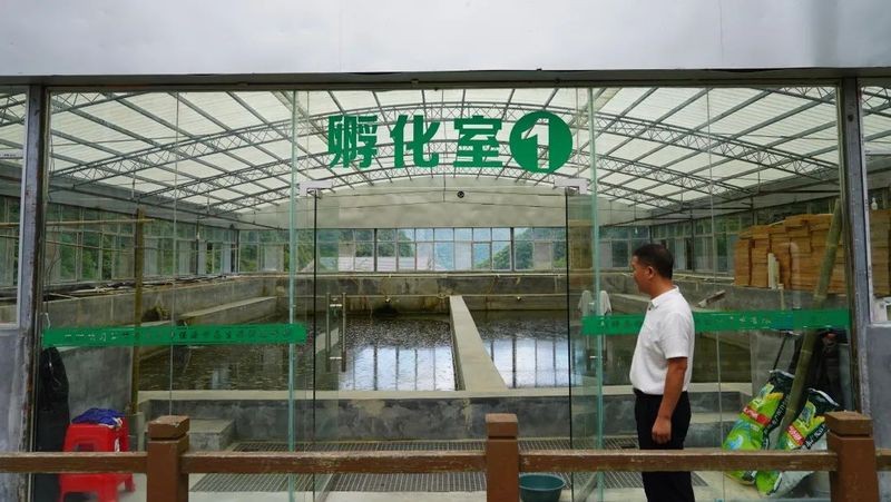錢魚的圖片大全大圖