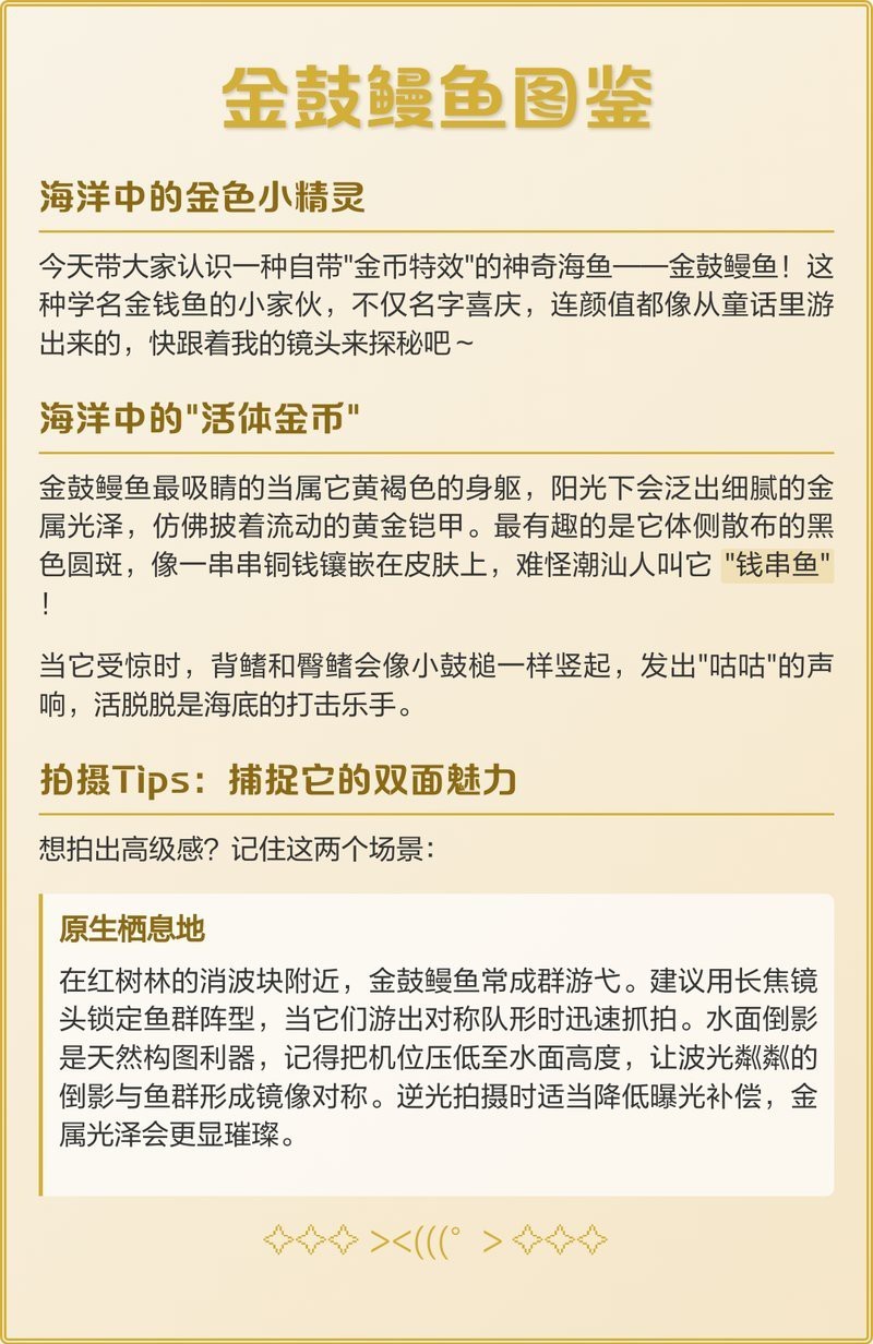 錢魚的圖片大全大圖