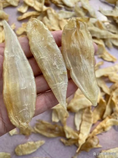 金龍魚膠怎么泡