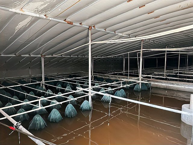 附近甲魚養殖基地
