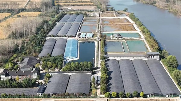 附近甲魚養殖基地
