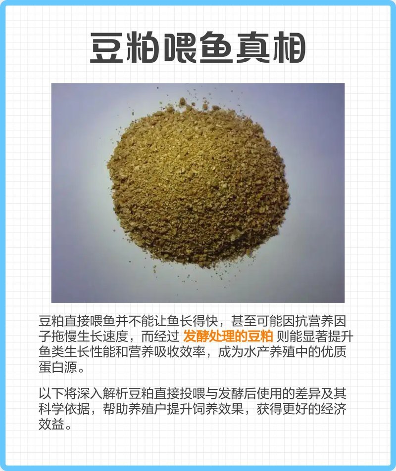 豆粕直接喂魚長得快嗎