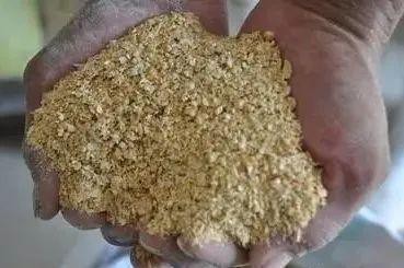 豆粕直接喂魚長得快嗎