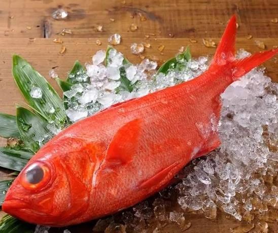 紅色魚圖片大全