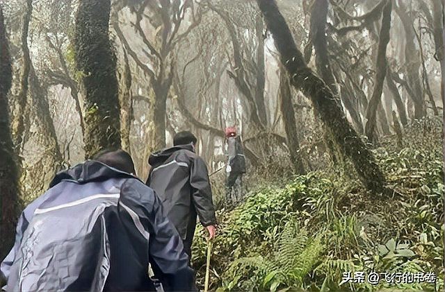 哀牢山不明生物