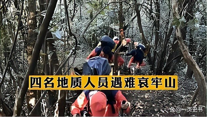 哀牢山不明生物
