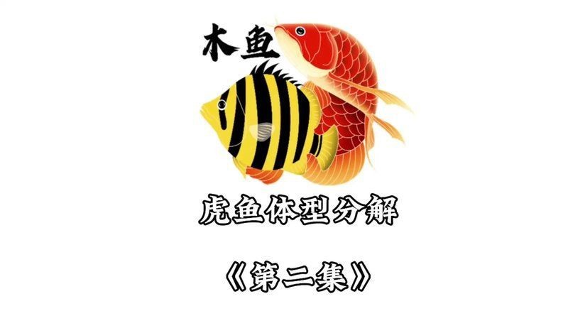 虎魚一邊三紋一邊四紋